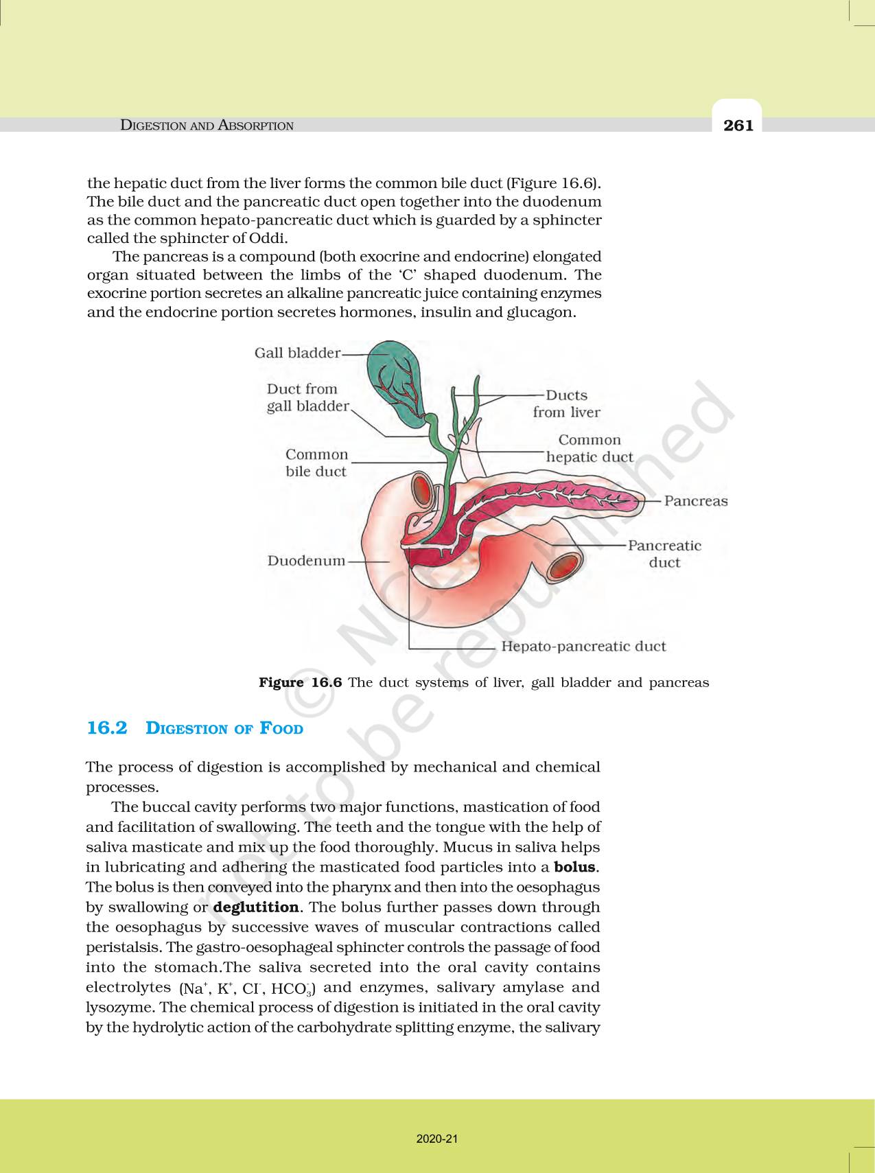 Digestion And Absorption Ncert Book Of Class Biology